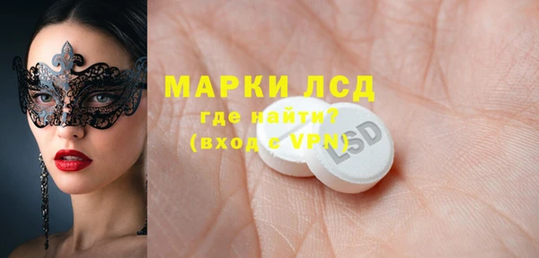 стаф Алзамай