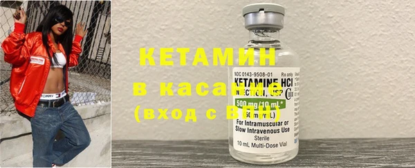 стаф Алзамай